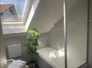 Gemütliche 3 Zimmerwohnung