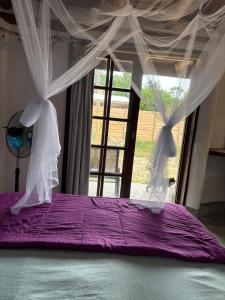 Cabaña Ecológica Mulle