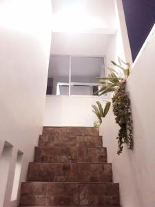 Departamento amoblado Sector Residencial