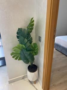 Apparts luxueux-2min de la gare TGV,Mall city center,piscine,climatiseur,fibre optique