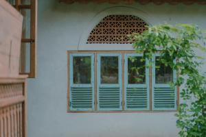 Green vanilla Suite 1