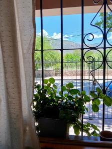 Casa Josefa Cafayate