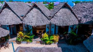 Bougainvillea nungwi zanzibar
