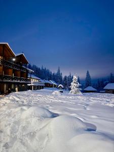 Baza vidpochynku Ilz