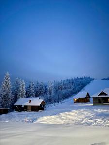 Baza vidpochynku Ilz