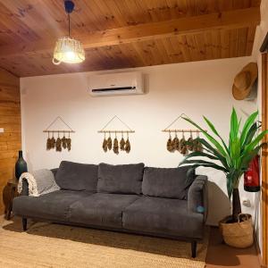 São Jorge Spot - Alojamento