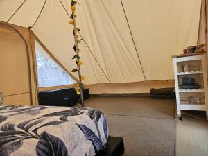 Eureka Station Camping Retreat