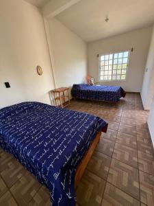 Pino Loft