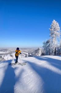 Apartament Dobre Miejsce