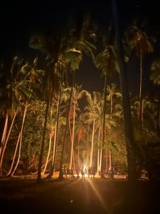 Darocotan Shipwreck Camping