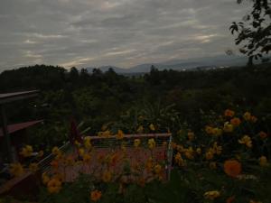 Camping Doi Sloung Nai by MJ Homestay&Camping