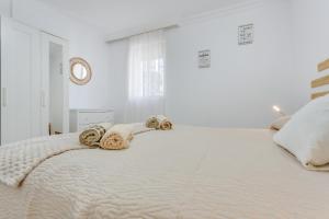 Casa Lotti With Ocean View