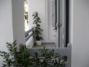 Aelia Apartments Naxos Greece
