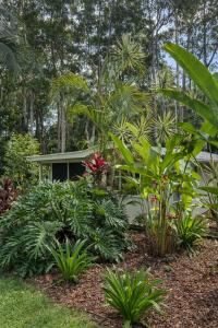 Private Rainforest Guesthouse in Doonan