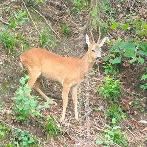 La Vista Magnificent View