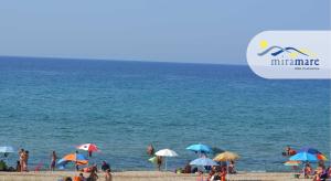 Miramare struttura sulla spiaggia img23