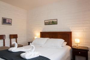 Apartamentos Otorongo Cuenca Ecuador