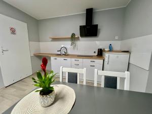 Apartamenty Adabet