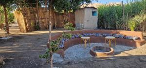 Gate Way to the Stars