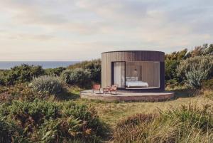 Bonjour Sauvage Saint Jean de Luz