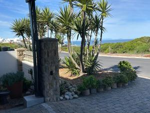 Salama Guesthouse Apartment