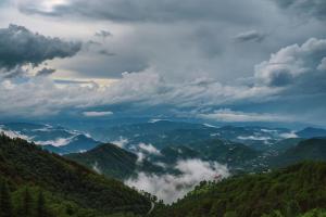 Pine Ville Shimla