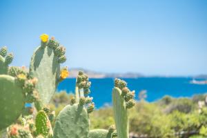 Monolocale Melograno img23