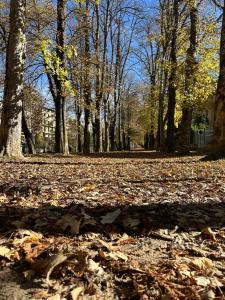 Casa Pomar Apartament