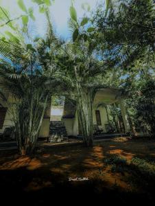 Wild Rest Cottage