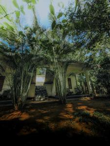 Wild Rest Cottage