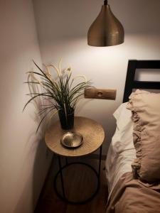 Ca lEli Loft