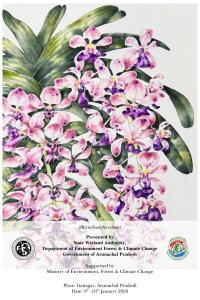 RINCHIN TG HOME Stay , NEAR TDL BUDDHIST MONASTERY ,DIRANG