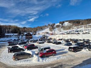 Apartmán Alfa pod sjezdovkou