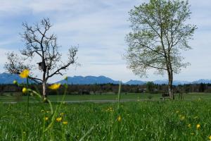 Naturlandhof Mitterer