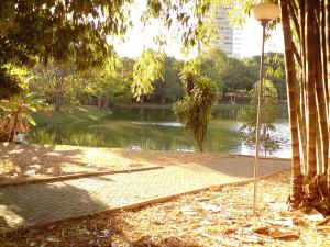 Lounge 22 Praça do Sol Tamandaré Shopping Bouganville Jotas Bartolomeu Cartório Artiaga Hospital do Coração Annis Rassi Íbis Holliday Rua 9 Feira da Lua Bodytech Marista Madalena Bahrem Nord23 Pão de Açúcar Alameda das Rosas Zoológico