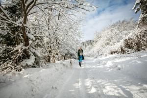 Pasakų namelis dviems su vaizdu į ežerą