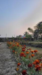 kheya homestay
