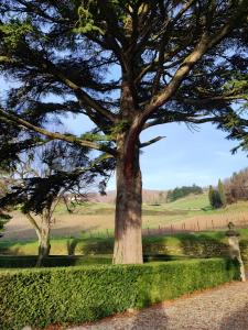 Casa relax in campagna Rufina