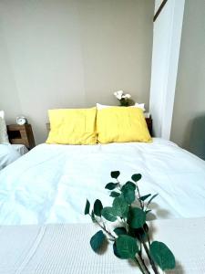 Ichigoichie Tsuruhashi