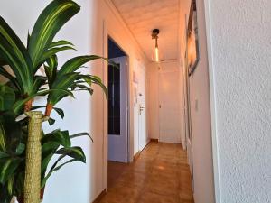 La Palma Chill House