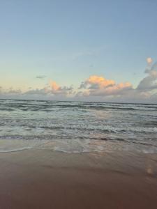 Bangalô Arara Azul - Privilege Imbassaí BA