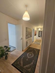 Family House with room for six