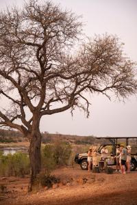 Luxury Family Villa in Greater Kruger