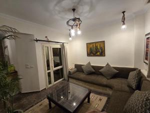 اللوتس الجانبيه بجوار الجامعه الامريكيه