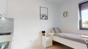 Apartament Fibra Brownie