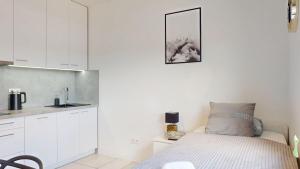 Apartament Fibra Brownie