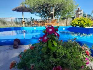 Cabañas Aires de Campos