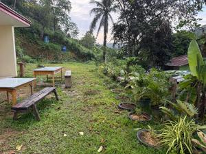 Hills Studios Guesthouse