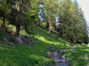 Charmant T2 avec terrasse, proche pistes, parking gratuit - FR-1-755-21