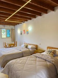 The Nest House Dahab